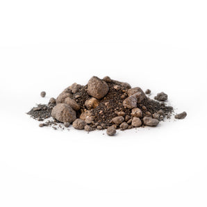 Forest Floor (250g) - AntKeepers
