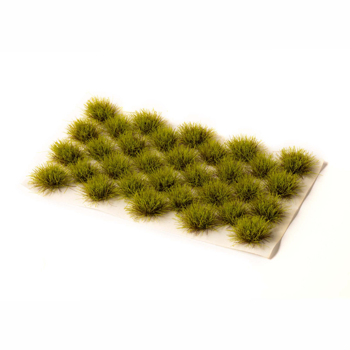 Grass Tufts (32 pcs) for your Ant Farm – AntKeepers