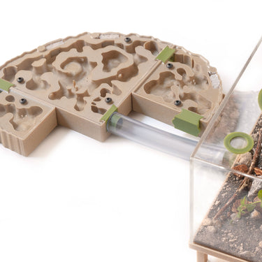 AntKeepers Nest formicaria Full Setup with Outworld attached
