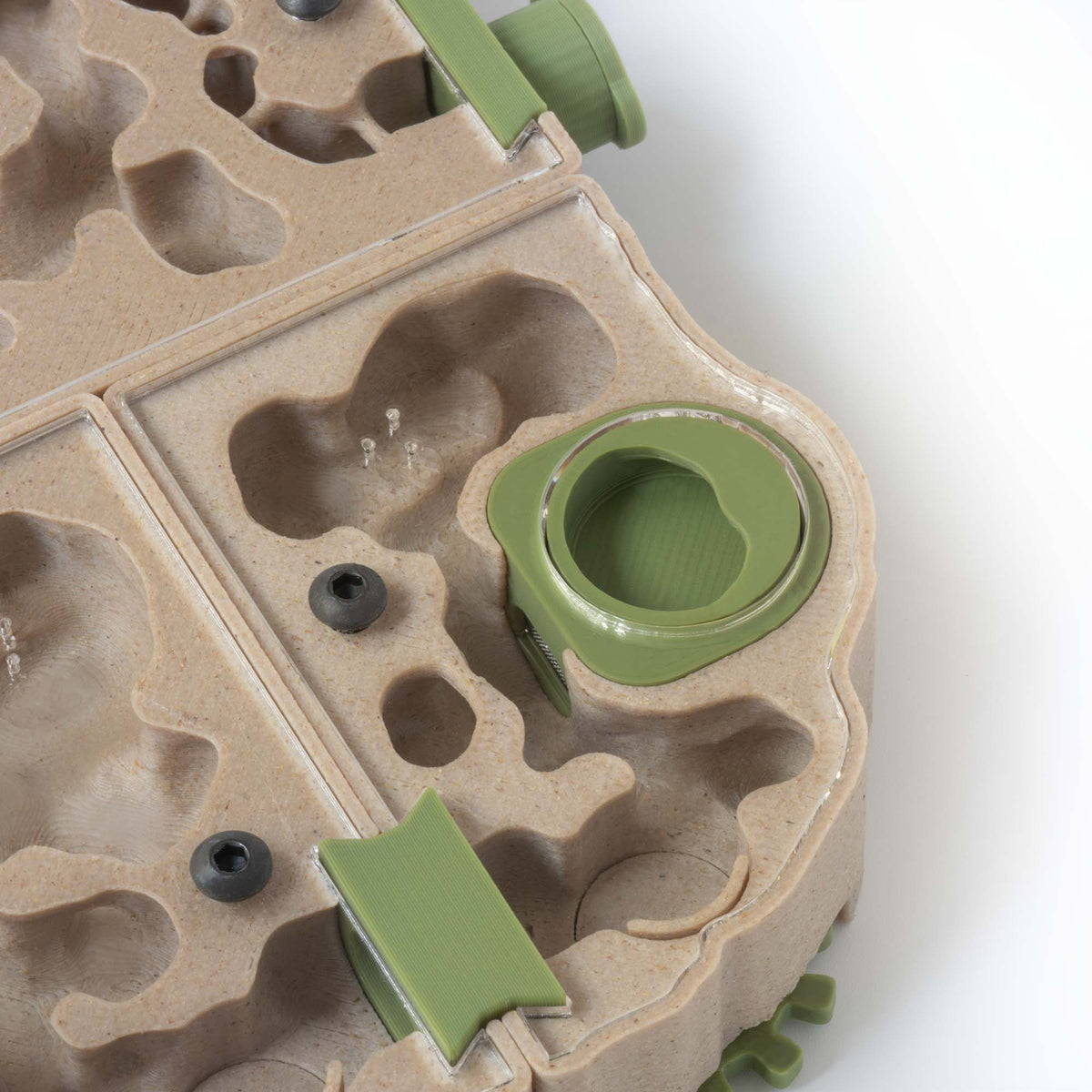 Nest Formicarium (Ant Farm) – AntKeepers