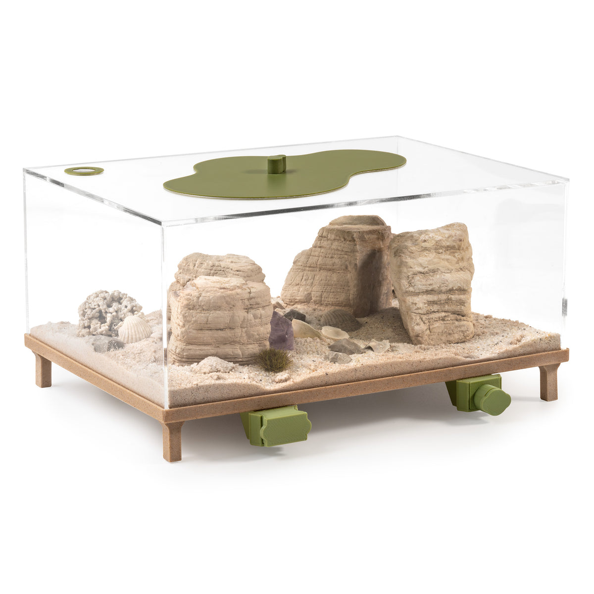 Ant Keeping Starter Pack Max – Complete Formicarium Set | AntKeepers