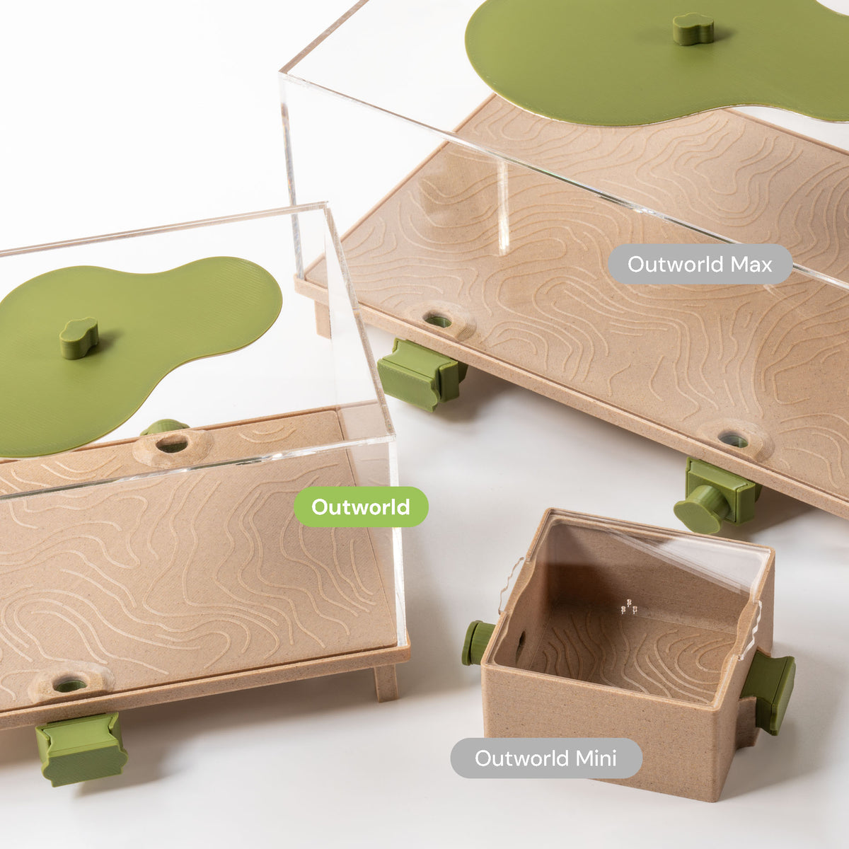 Outworld for Ants – AntKeepers