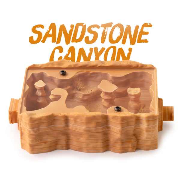 Sandstone Canyon Zone – AntKeepers