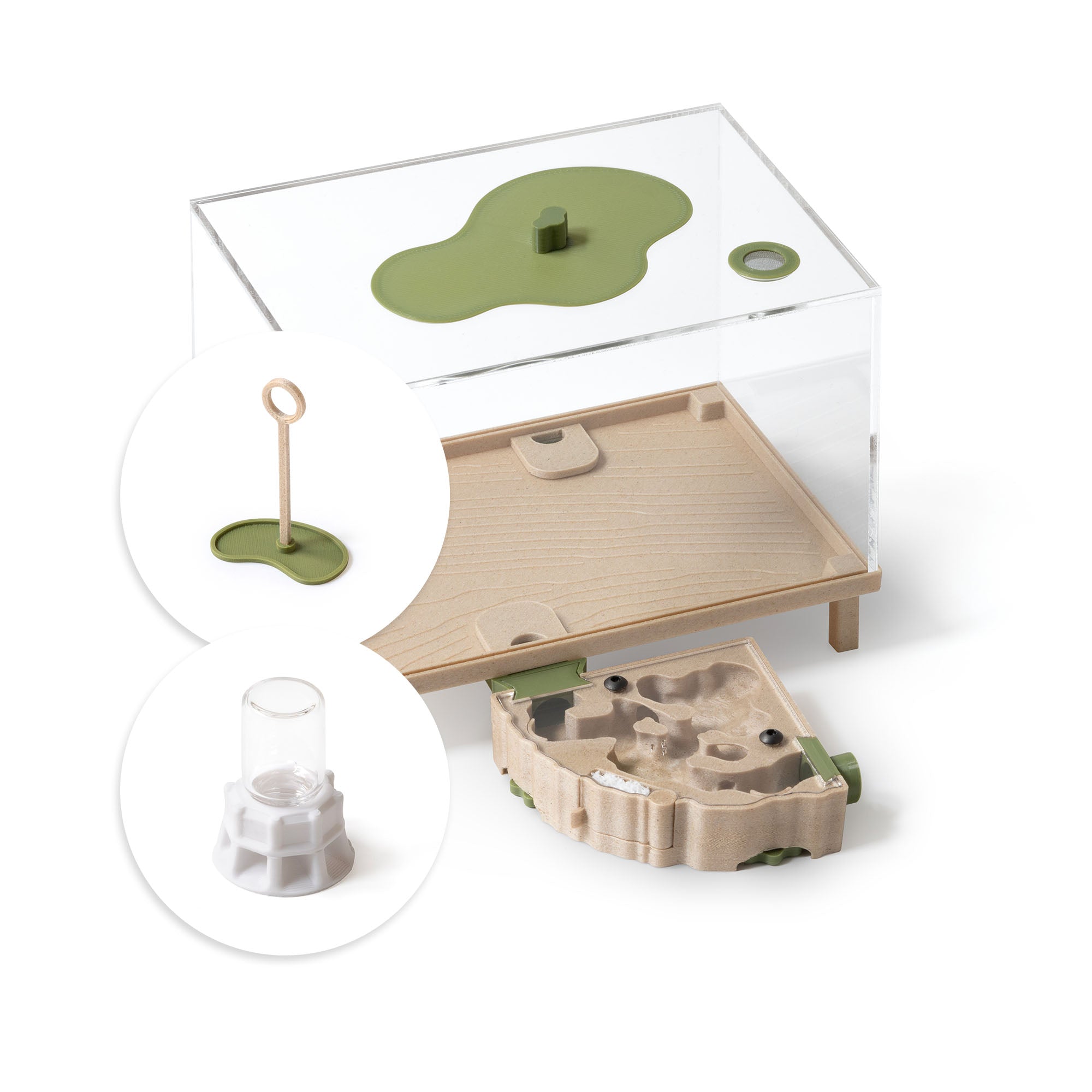Antkeeping Starter Pack (Ant Farm + Outworld) – AntKeepers