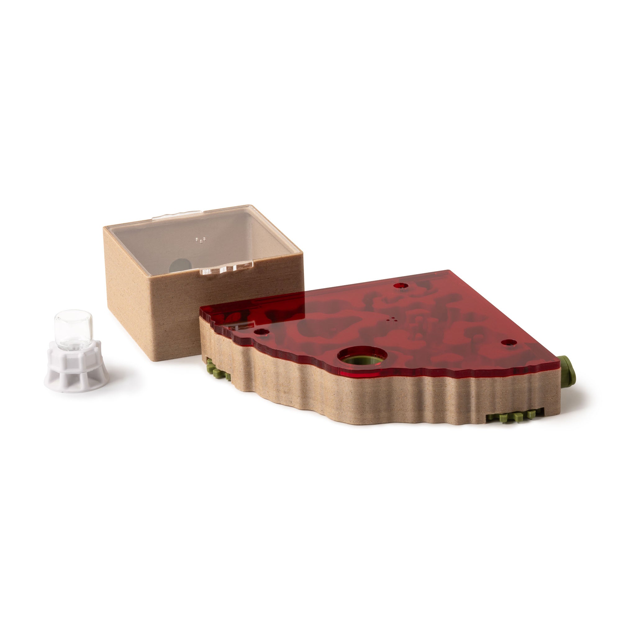 Mini Keeper Antkeeping Starter Pack Mini – AntKeepers