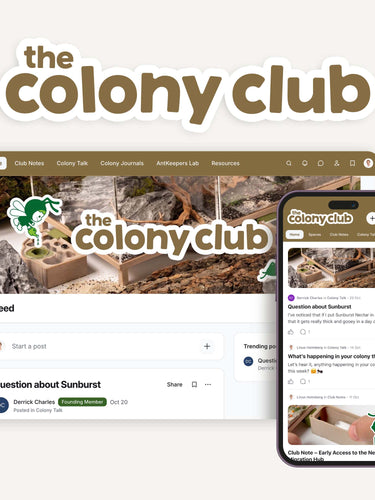 The Colony Club antkeeping membership shown on desktop and mobile, featuring its community feed.