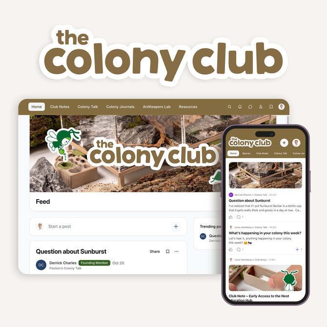 The Colony Club antkeeping membership shown on desktop and mobile, featuring its community feed.