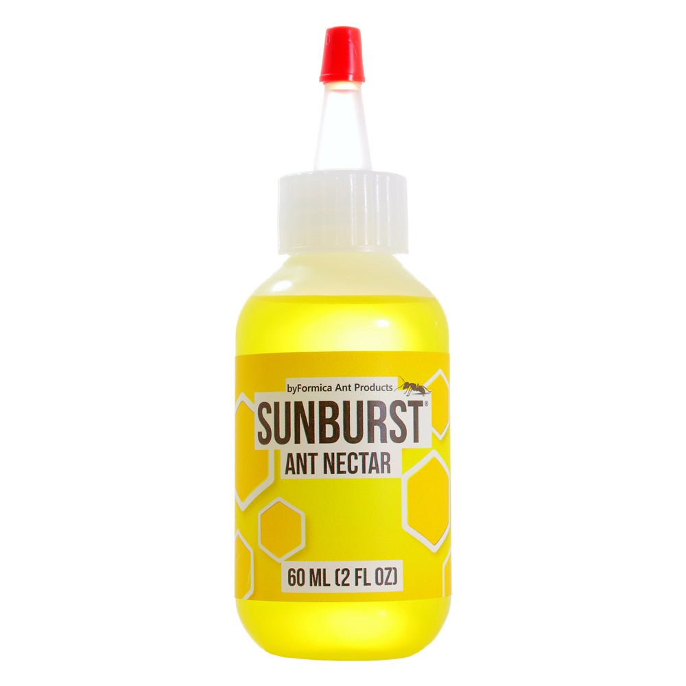 Sunburst Ant Nectar (60 ml) - AntKeepers